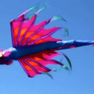 Windsocks & Spinners