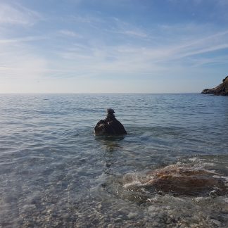 Swim Zone